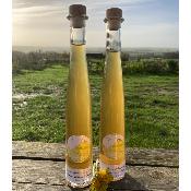 duo de liqueurs de dent de Lion des Flandres et gingembre