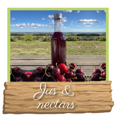 Jus et nectar bio de confection artisanale en vente en ligne