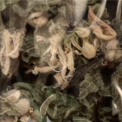 Tisane bio menthe lamier (ortie blanc) 20 gr