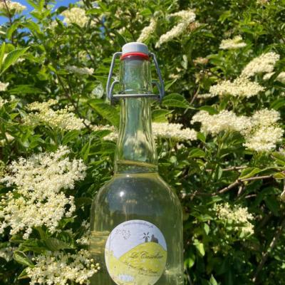 <b>Sambucus</b> : pétillant de fleur de sureau bio 75 cl