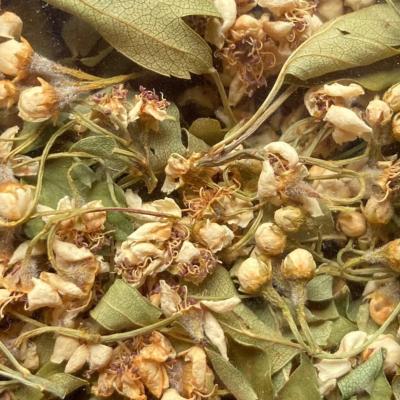 Tisane bio aubéine 20 gr