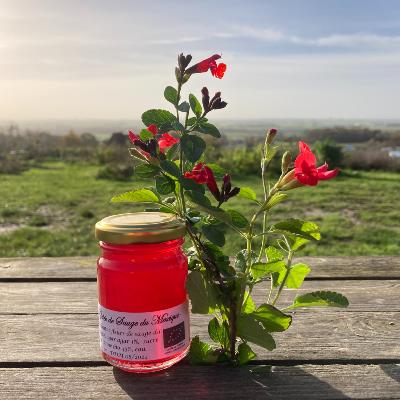 Gelée bio de fleurs de sauge du Mexique 100 gr