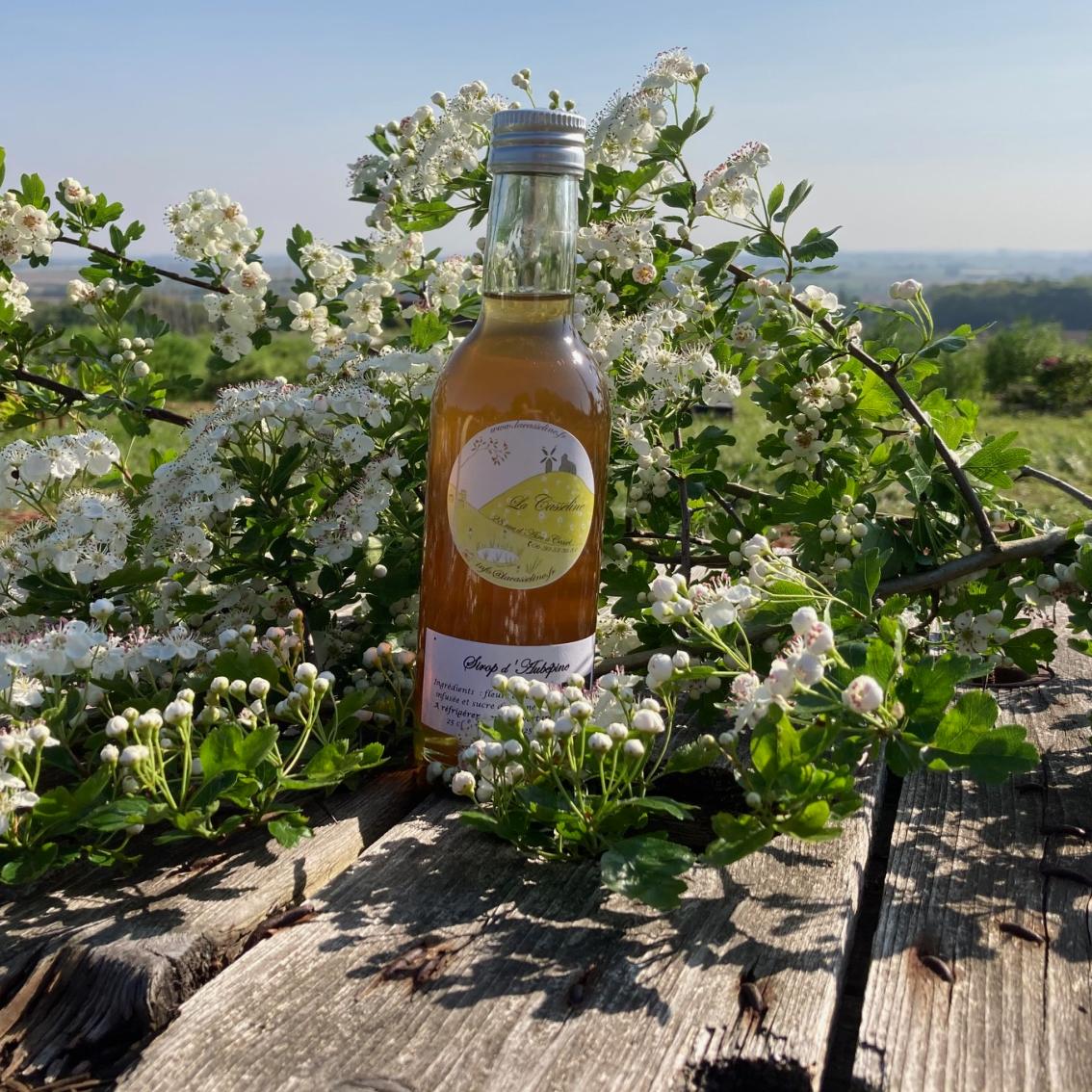 Sirop bio de fleurs d'aubépine