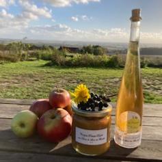 Compote bio aux dents de Lion des Flandres (pissenlit)