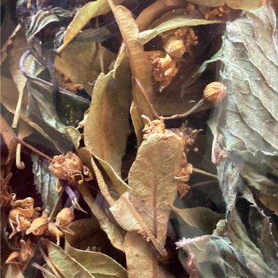Tisane tilleul à la menthe chocolat 20 gr