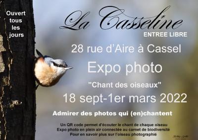 Exposition le chant des oiseaux