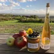 Compote bio aux dents de Lion des Flandres (pissenlit)