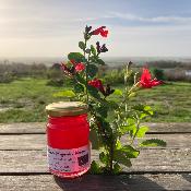 coffret cadeau 2 gelées de fleurs bio