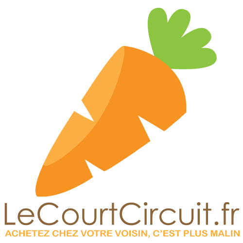 Logo courtcircuit