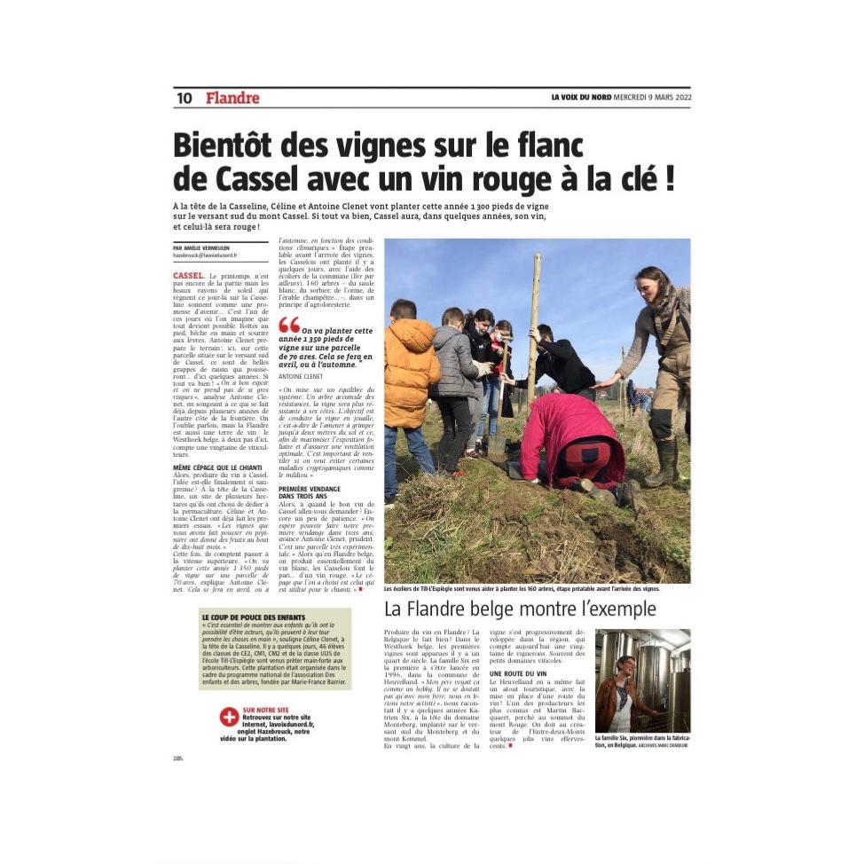 Bientt des vignes sur les flancs de Cassel avec du vin rouge  la cl - 9 mars